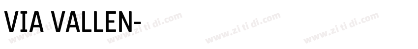 VIA VALLEN字体转换